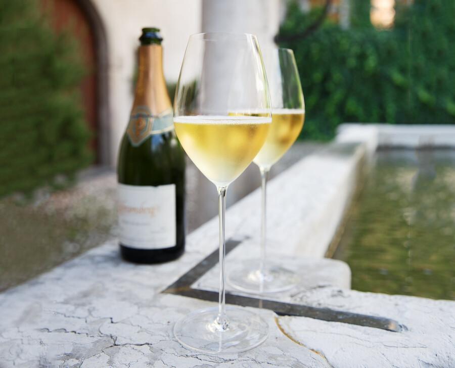bicchiere da champagne riedel superleggero