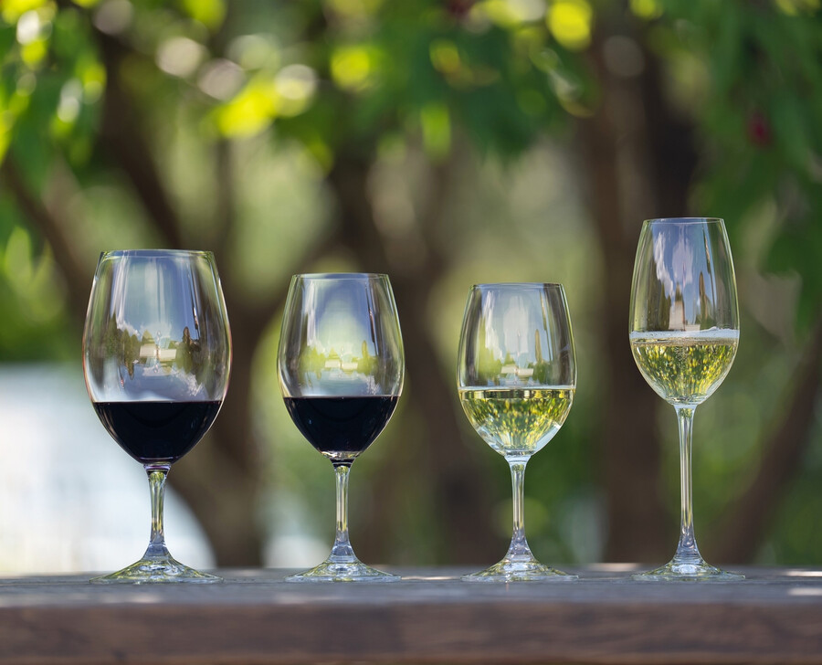bicchiere da vino biancomagnumchampagne riedel ouverture