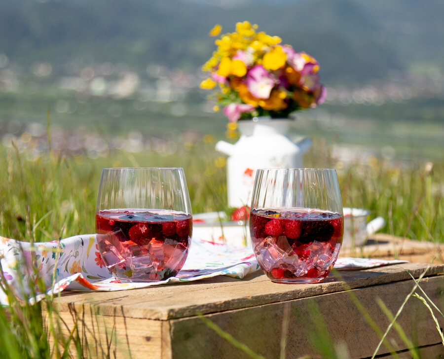 set di tonici per miscelazione riedel