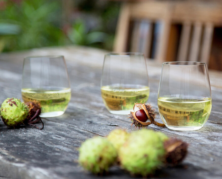 riedel the o wine tumbler viognierchardonnay