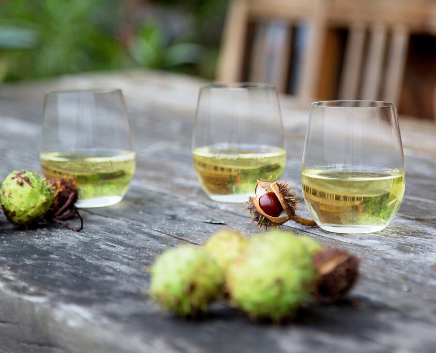 riedel the o wine tumbler viognierchardonnay